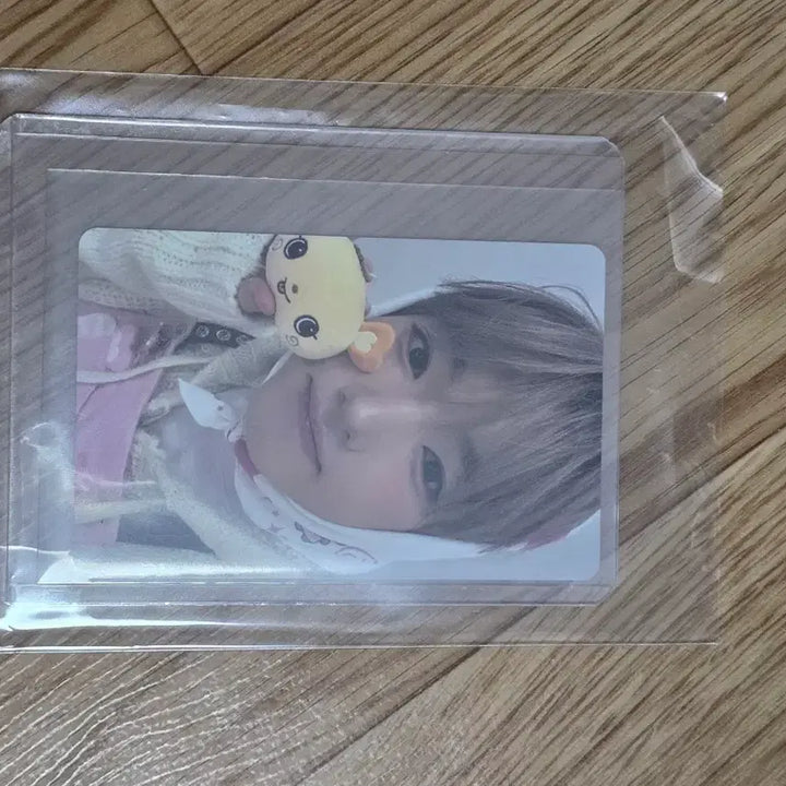 [BUNJANG] NCT WISH Sakuya Wish Bakery Photocard / 엔시티위시 위시 베이커리 사쿠야 포카 양도 판매