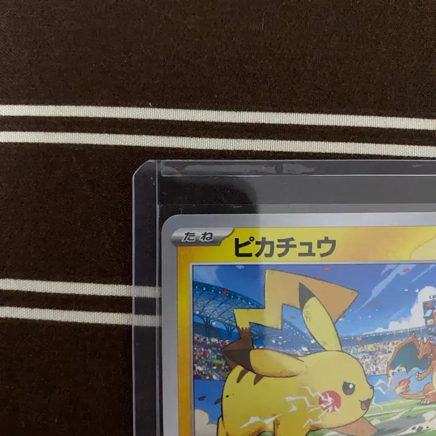 [BUNJANG] Pokemon Card Gym Promo Pikachu Japanese Edition / [일판] 포켓몬카드 짐프로모 피카츄 일판