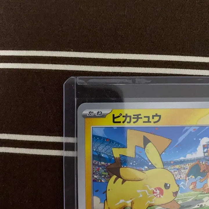 [BUNJANG] Pokemon Card Gym Promo Pikachu Japanese Edition / [일판] 포켓몬카드 짐프로모 피카츄 일판
