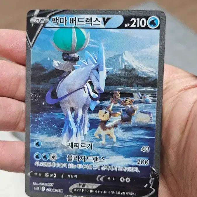 [BUNJANG] Pokemon Card Spectrier SR Special Illustration Card / 포켓몬카드 백마버드렉스 SR 특일카드 팝니다