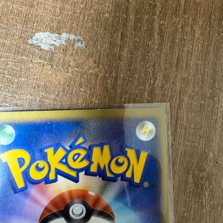 [BUNJANG] Pokemon Card Japanese Earroll SP 019/022 M Promo / 포켓몬카드 일판 이어롤 SP 019/022 M 프로모