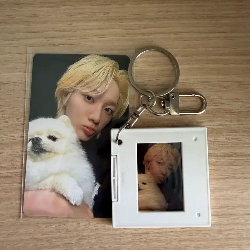 [BUNJANG] BOYNEXTDOOR Sung Ho Viral Home Photocard / 보넥도 포토카드 바이럴 홈 짱이 포카 성호 특전 photo card