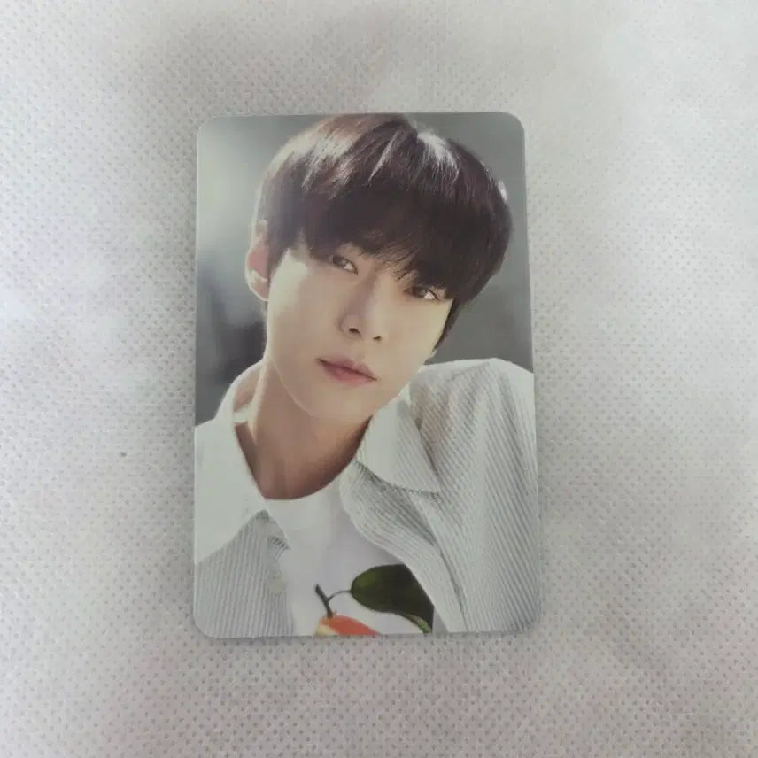 [BUNJANG] NCT Doyoung Gapyeong Photobook Photocard / 도영 가평포토북 포카