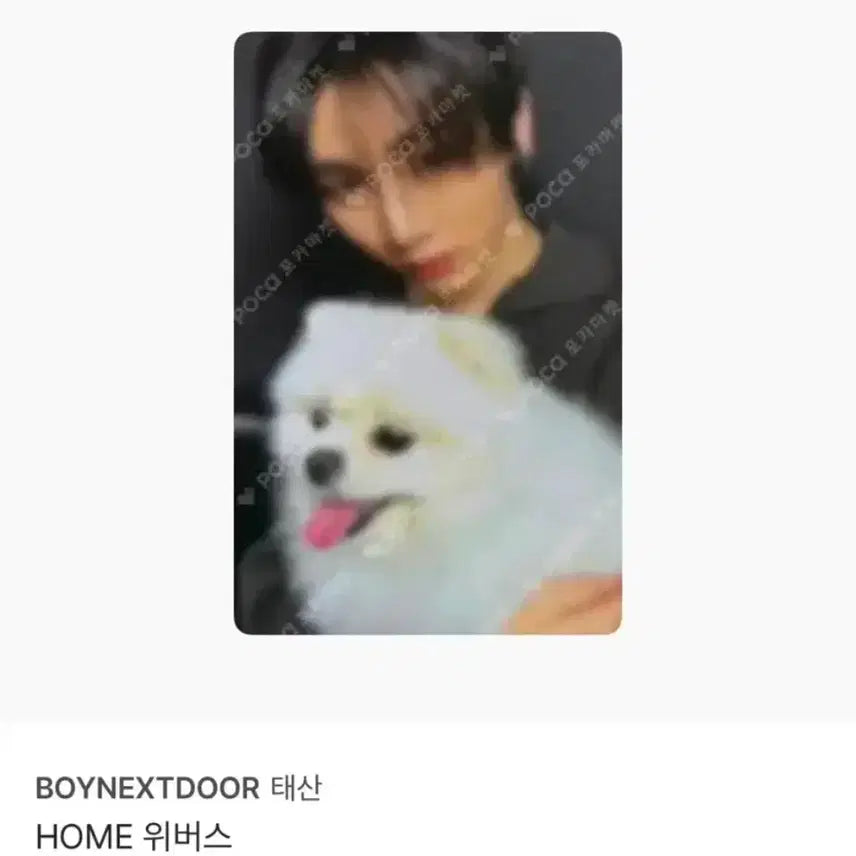 [BUNJANG] Enhypen Heeseung Weverse Version POB Photocard / 탸산 위버스 버전 특전