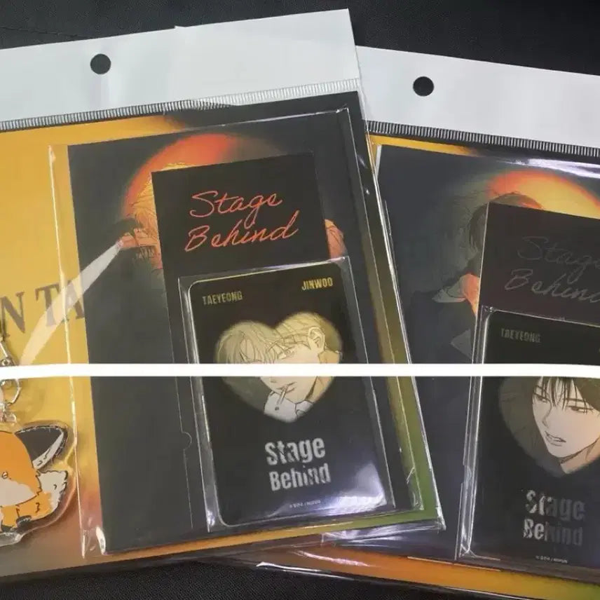 [BUNJANG] Stage Behind Keyring Set (Taeyoung, Jinu) Photocard Postcard Bundle Set / 미개봉)스비하 스테이지비하인드 태영 진우 세트 키링 포카 엽서 일괄 판매