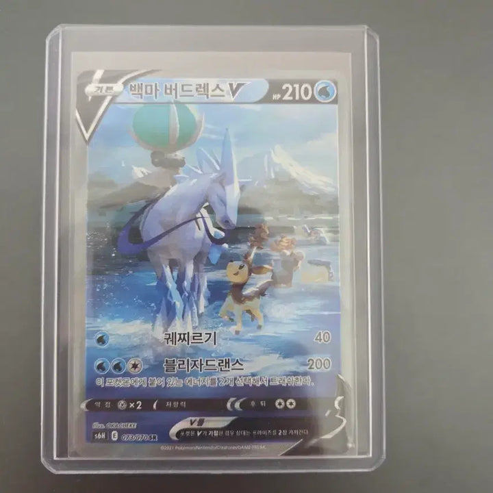[BUNJANG] Pokemon Card Gengar V SR Special Illustration Rare / 백마 버드렉스 v sr 특일카드 등급용