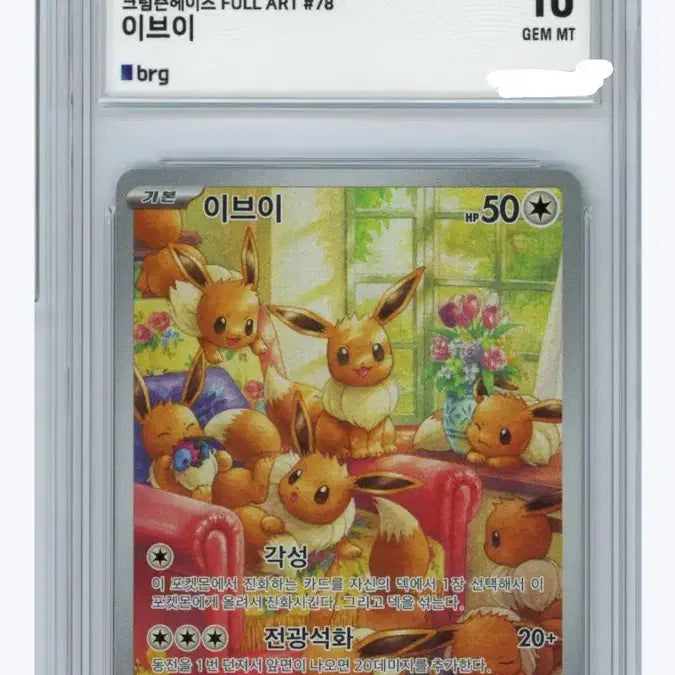 [BUNJANG] 2024 Pokemon S&amp;V Eevee AR 
