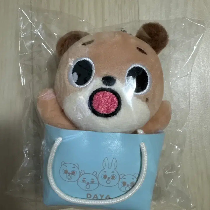 [SOLD OUT] 데이식스 일본MD 돈 백참
