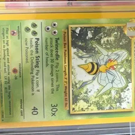 [BUNJANG] Thunder Base Set Holo (1st Edition) / 초판썬더 일판 초판 독침붕 영문