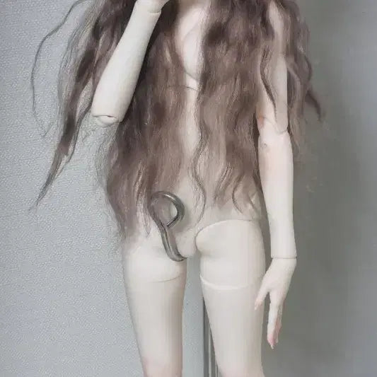 [BUNJANG] MSD Ball-Jointed Doll Bundle Set - Awen Head &amp; Withdoll Body / msd 구관 일괄 판매합니다