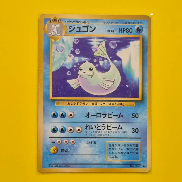 [BUNJANG] Pokemon Card 1996 Japanese First Edition Collection Album / 5개상품 포켓몬카드 1996 초기카드 일판 일본판 소장용 앨범용 2