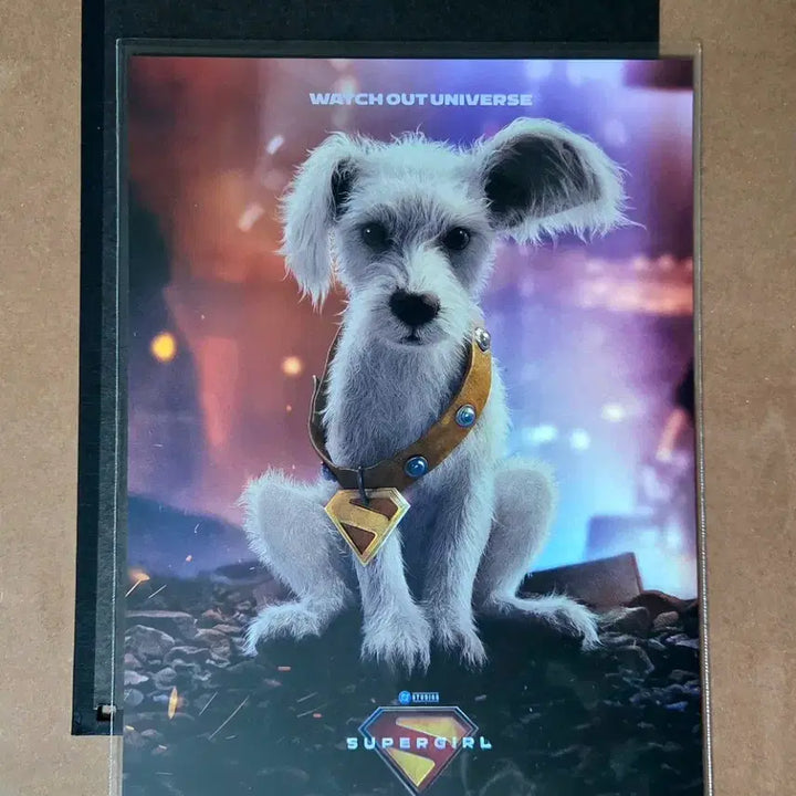 [BUNJANG] SUPERGIRL (2026 Film) Lotte Cinema Signature Art Card No. 301 / 슈퍼걸: 롯시 시그니처 아트카드