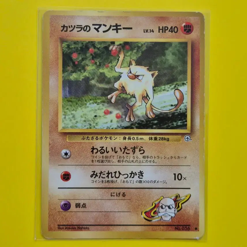 [BUNJANG] Pokemon Card 1996 Japanese Initial Edition / 5개상품 포켓몬카드 1996 초기카드 일판 일본판 소장용 앨범용 5