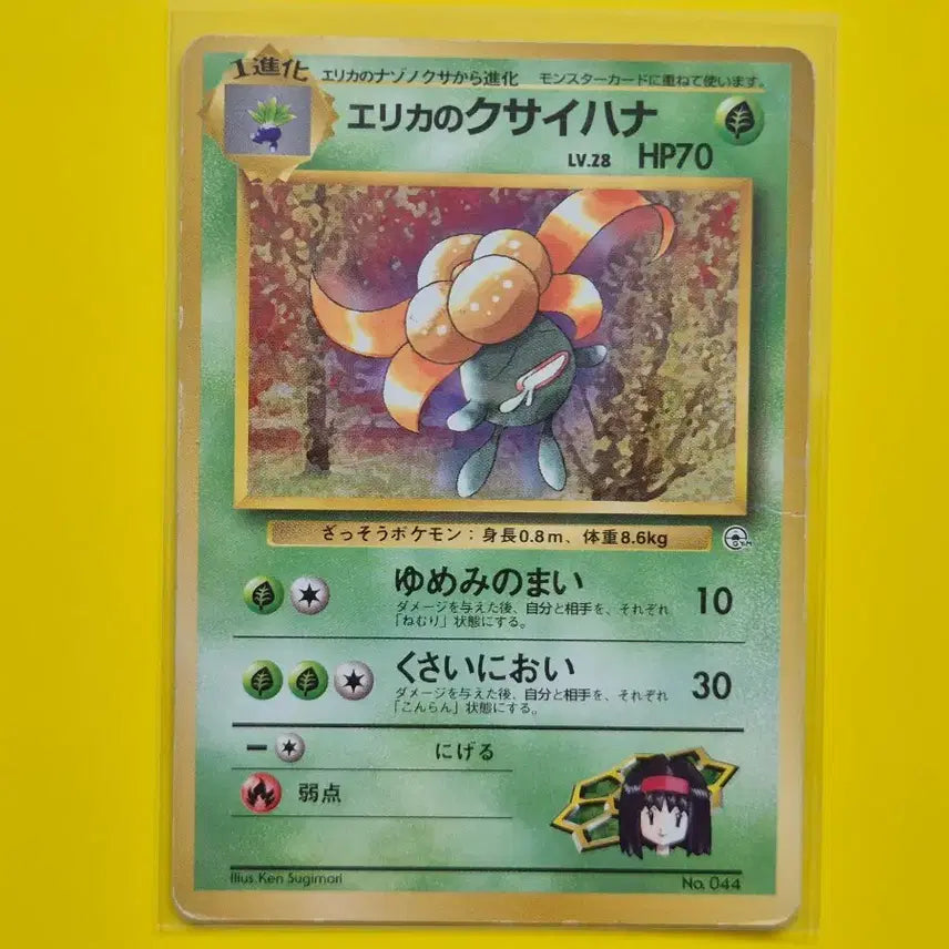 [BUNJANG] Pokemon Card 1996 Japanese Edition Vintage Collection Album / 판완 포켓몬카드 1996 초기카드 일판 일본판