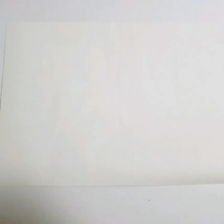 [BUNJANG] Kamisama Kiss Tomoe Special Illustration (A4 Size) / 오늘부터 신령님 토모에 특전 일러스트 (A4크기)