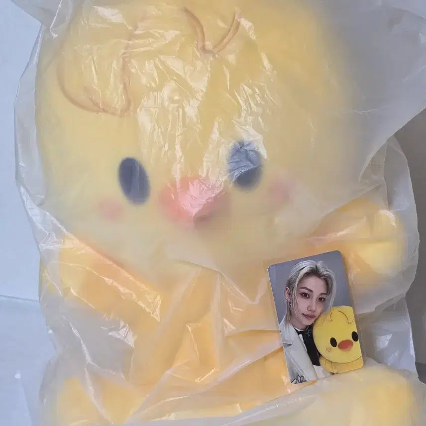 [SOLD OUT] 스키주 허그미 뽁아리
