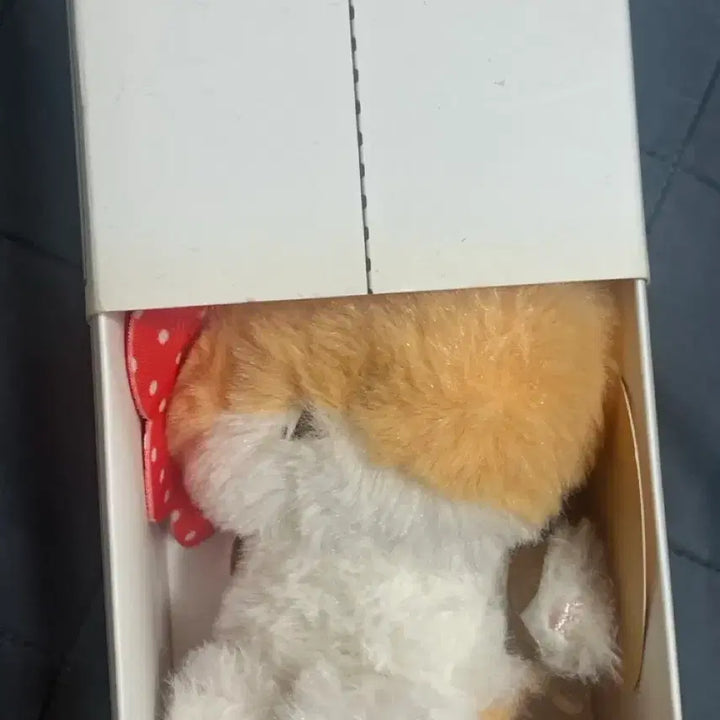 [SOLD OUT] 터래기