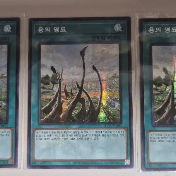 [BUNJANG] Dragon&