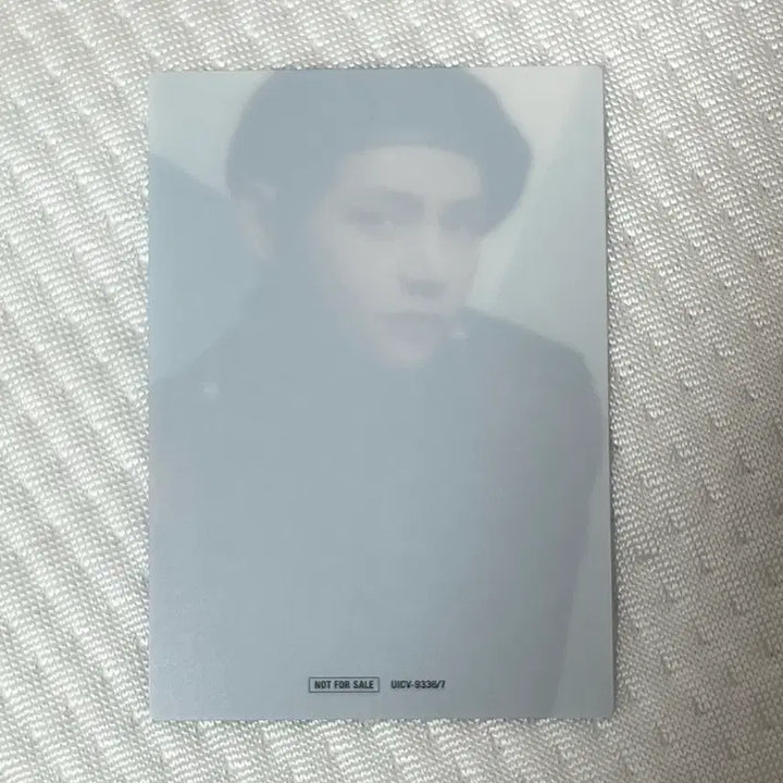 [BUNJANG] BTS The Best Japan Album V Photocard / 방탄 bts 더베스트 the best 일본 앨범 태형 뷔 포카