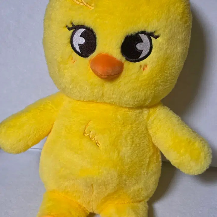 [BUNJANG] Teddy Bear Plush / 테디베어 뽁아리