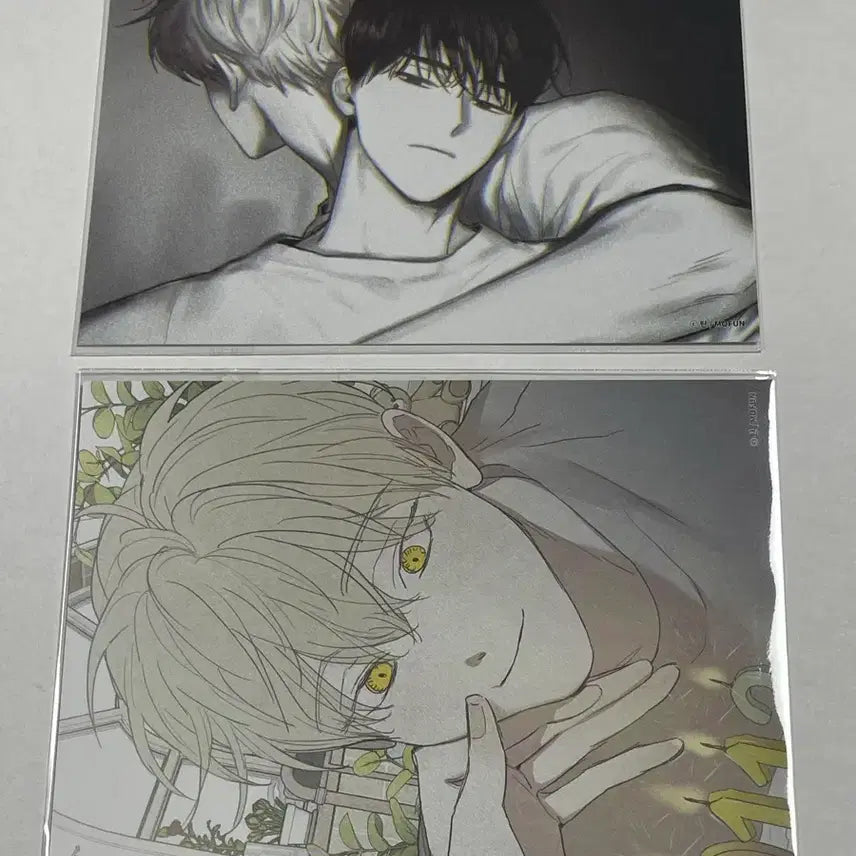 [BUNJANG] Checkmate Mofun Binder Postcard Bundle Set / 체크메이트 모펀 바인더 엽서 2종 일괄