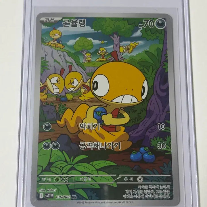 [BUNJANG] Pokemon Card Golisopod AR / 포켓몬카드 곤율랭ar