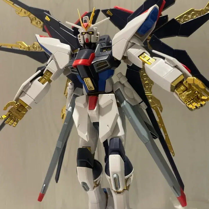 [BUNJANG] Gundam MG Strike Freedom Full Burst Mode / 건담 mg 스트라이크 프리덤 풀버스트(세일)