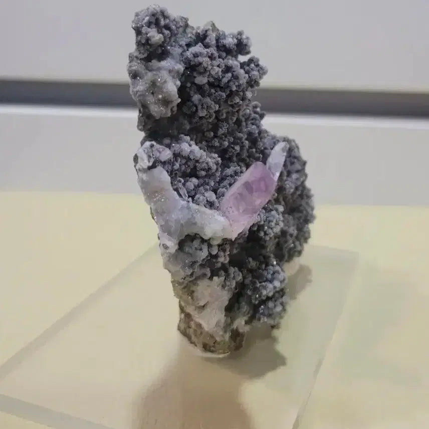 [BUNJANG] Amethyst &amp; Grape Chalcedony Symbiotic Specimen / 자수정 &amp; 포도마노 희귀 공생 표본