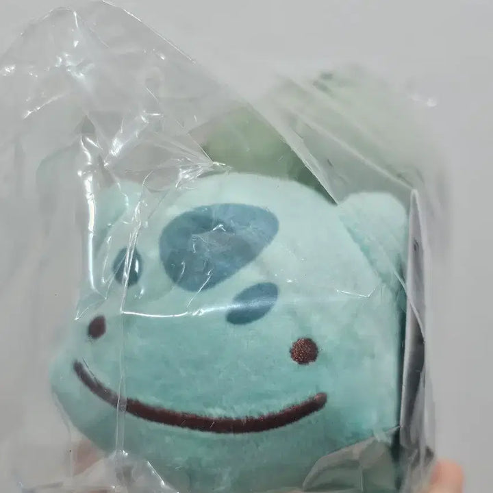 [BUNJANG] Pokemon Bulbasaur Metamon Transformation Stuffed Doll / 이상해씨 변신메타몽 중포센 판매합니다