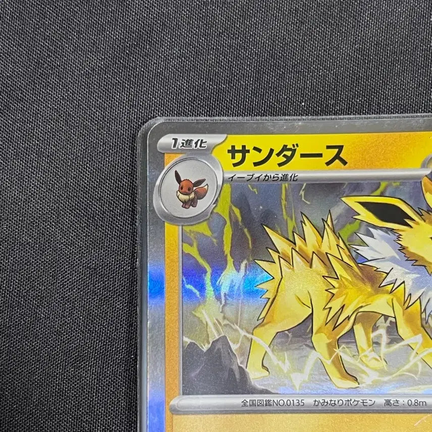 [BUNJANG] Pokemon TCG Jolteon Holo Japanese SV8a 051/187 / 포켓몬카드 쥬피썬더 홀로 일판 sv8a 051/187