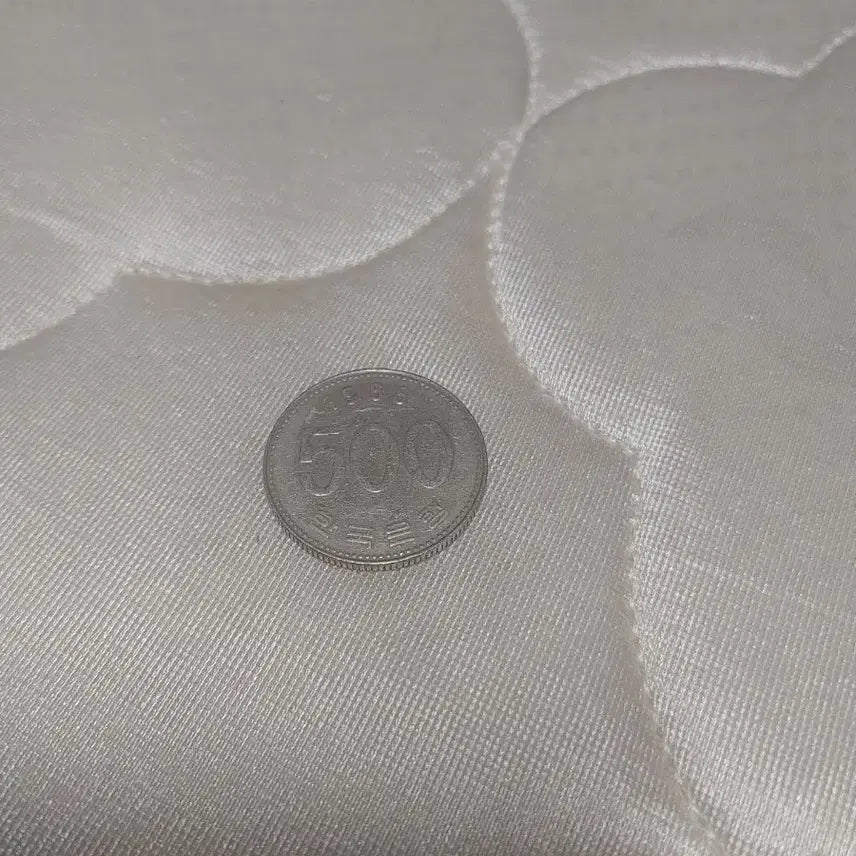 [BUNJANG] 500 Won Coin / 500원 동전