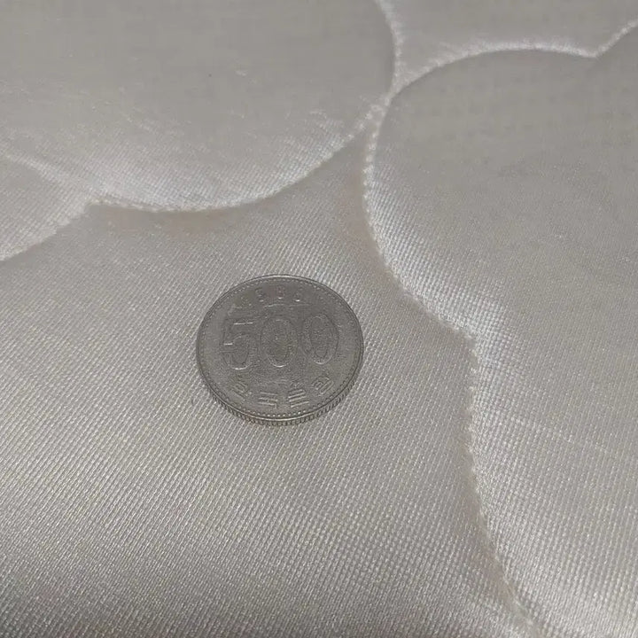 [BUNJANG] 500 Won Coin / 500원 동전