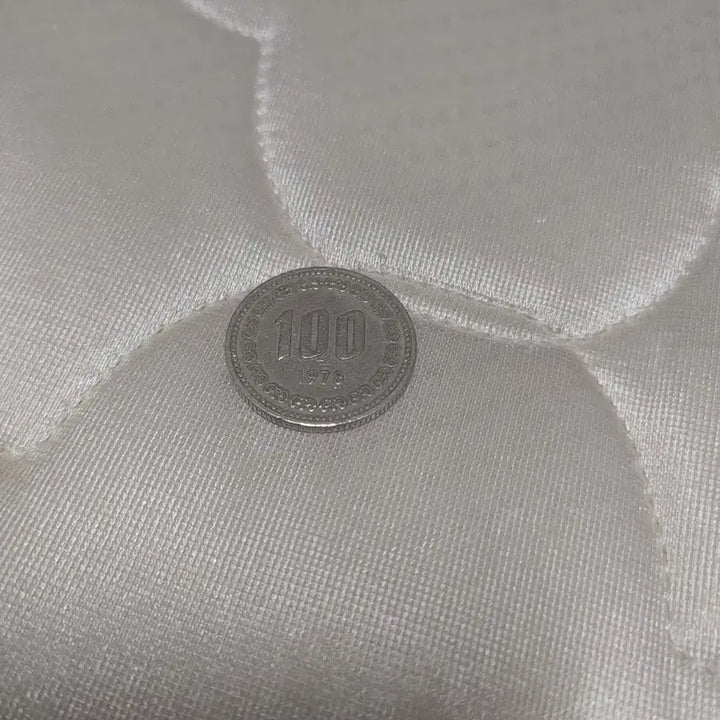 [BUNJANG] 1978 100 Won Coin / 100원 동전 1978년