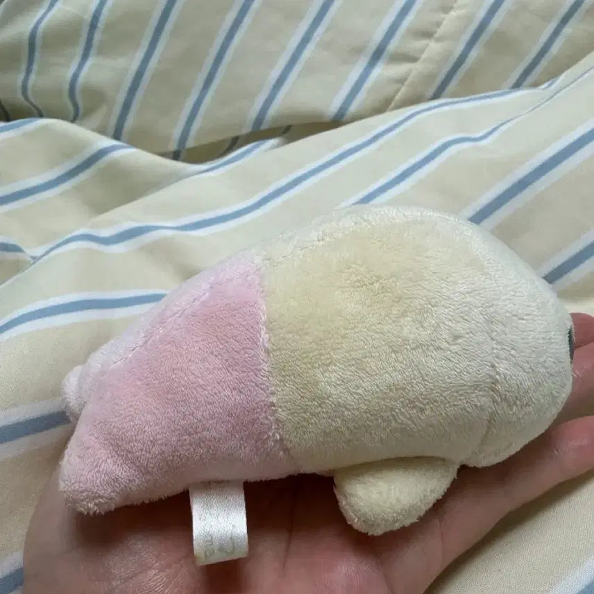 [BUNJANG] Mamegoma Ichigoma Plush Doll / 마메고마 이치고마 봉제인형