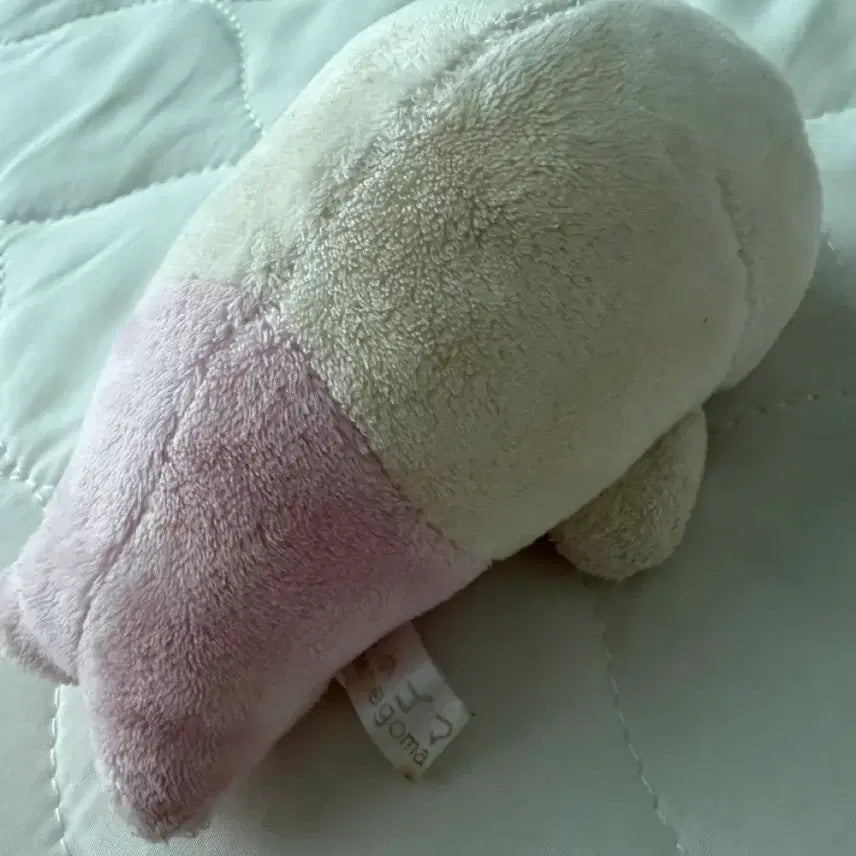 [BUNJANG] Mamegoma Ichigoma Plush Doll / 마메고마 이치고마 봉제인형