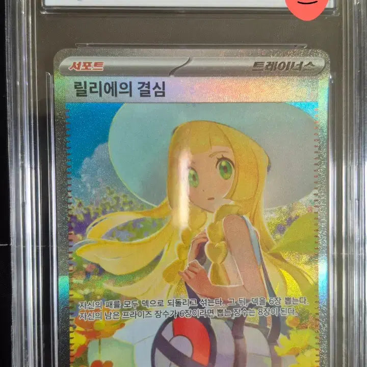 [BUNJANG] Pokemon Card &