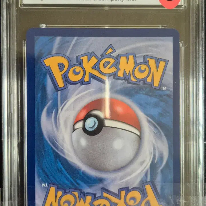 [BUNJANG] Pokemon Card &