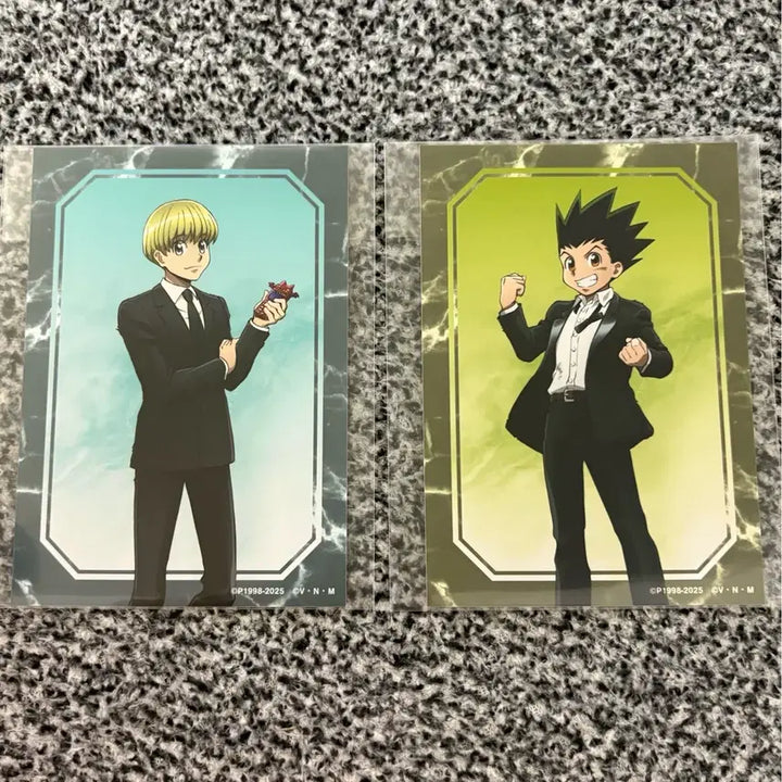 [BUNJANG] Hunter x Hunter Suit Photo Set (2 Types, Bundle) / 헌터x헌터 정장포토 2종 일괄