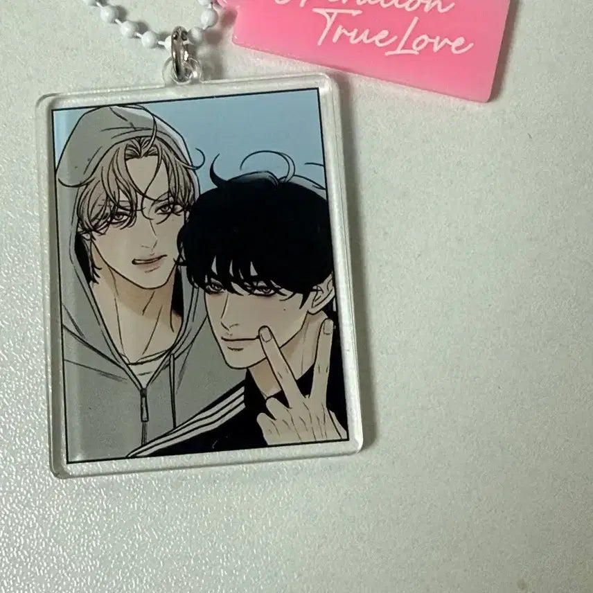 [BUNJANG] Action Plan Pure Love Go Eunhyuk Acrylic Keyring / 작전명순정 시크릿 백도화 고은혁 아크릴키링