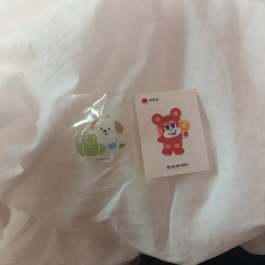 [BUNJANG] RIIZE Bundle Set Ttibu Seal CU / 일괄판매 라이즈 띠부씰 cu