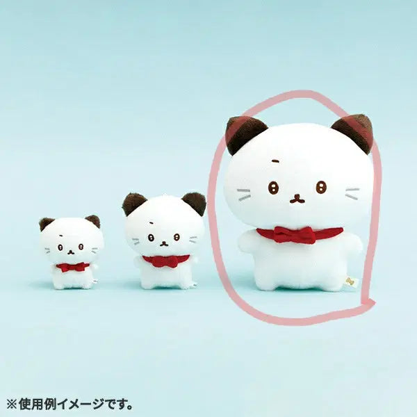 [BUNJANG] San-X Ishitsuyochyan Medium Plush / 산엑스 이시츠요짱 중형 인형 이시요와짱