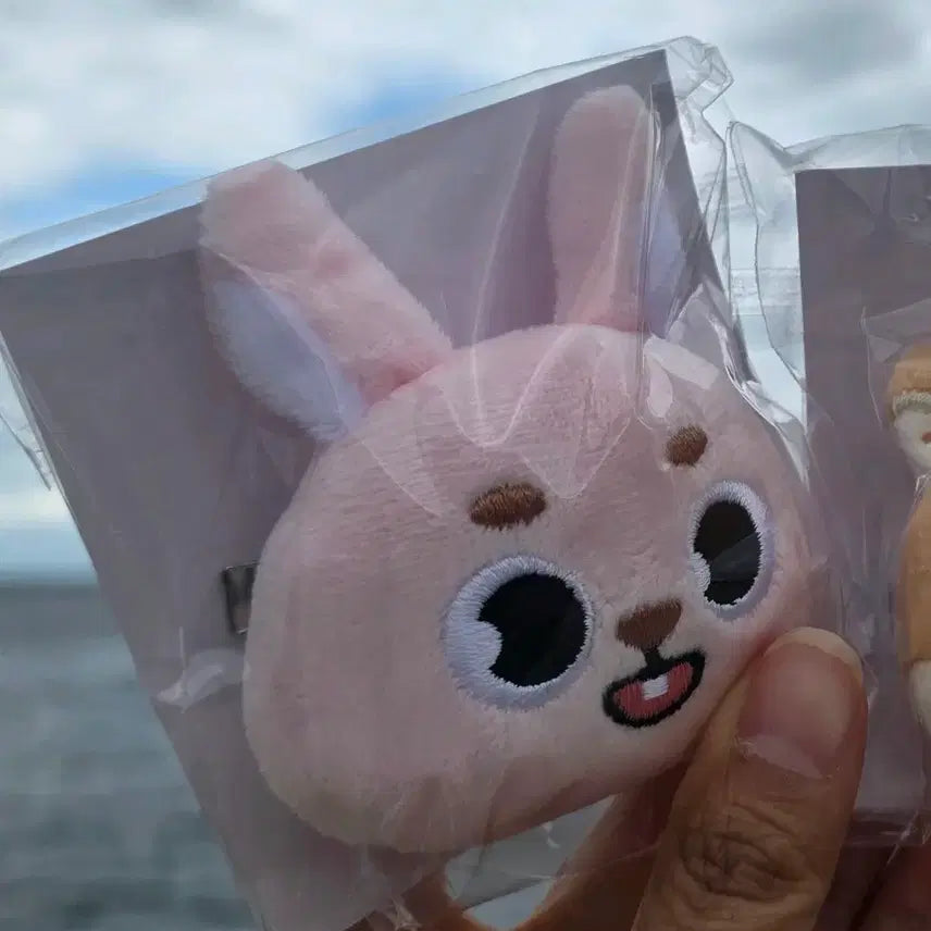 [BUNJANG] Day6 Japan MD Hairpin Pil / 데이식스 일본엠디 헤어빈 필
