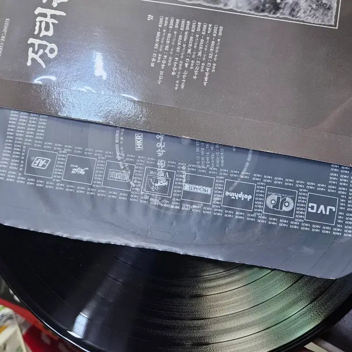 [BUNJANG] Jeong Tae Chun &amp; Park Eun Ok LP / 정태춘 박은옥 lp 소장용