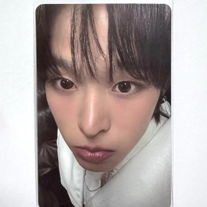 [BUNJANG] NCT WISH Wishnini Kurinini Cushion Riku Photocard / 엔시티위시 위시니니 쿠리니니 쿠션 리쿠 포카