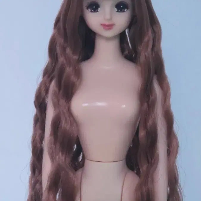 [BUNJANG] Rica Castle New Jennie Doll / 리카캐슬 뉴제니 인형 제니인형