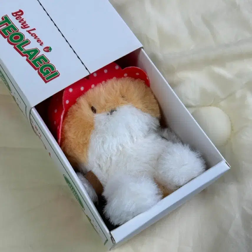 [SOLD OUT] 터래기 이 모자 좋은 분