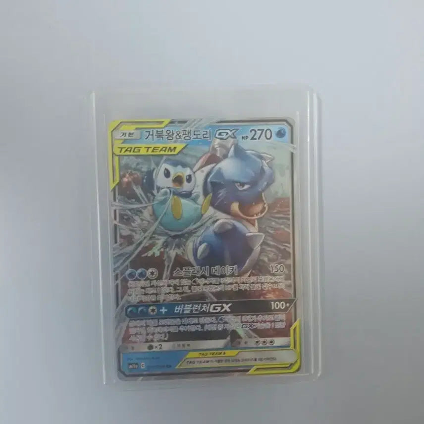 [SOLD OUT] 거북왕&amp;팽도리 GX 태그팀