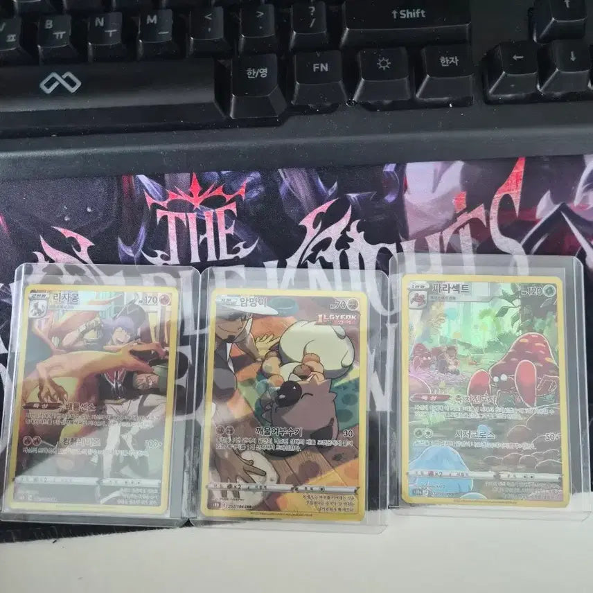 [BUNJANG] Pokemon Card Rich Dong, Rockruff, Parasect 3-Card Set / 포켓몬 카드 리치동 암멍이 파라섹트 3장 세트