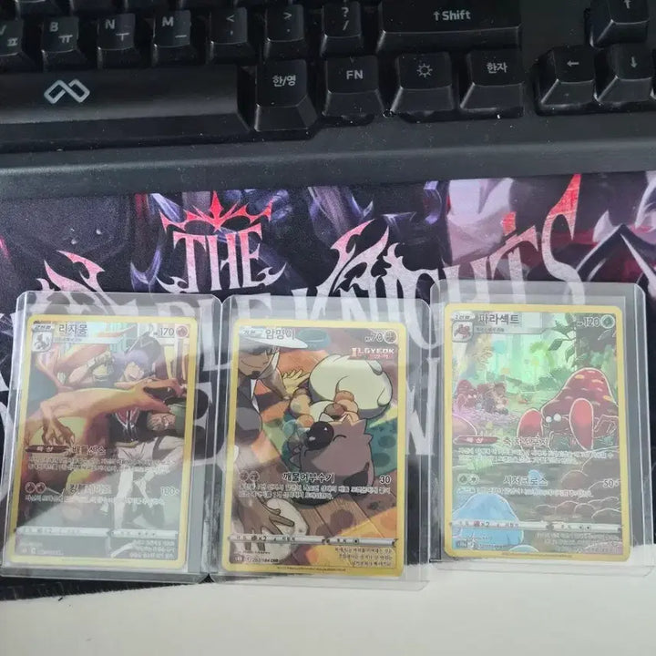 [BUNJANG] Pokemon Card Rich Dong, Rockruff, Parasect 3-Card Set / 포켓몬 카드 리치동 암멍이 파라섹트 3장 세트