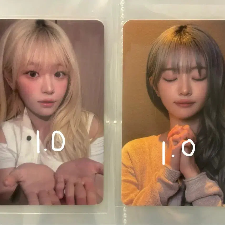 [BUNJANG] QWER Cho-dan Photocard / Qwer 미공포 쵸단 포카